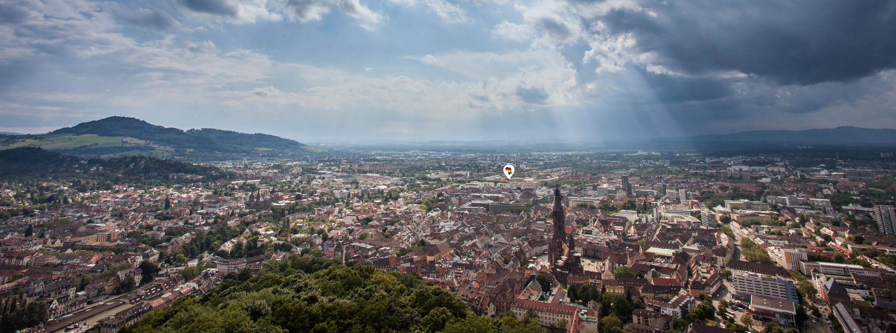 African Information Movement