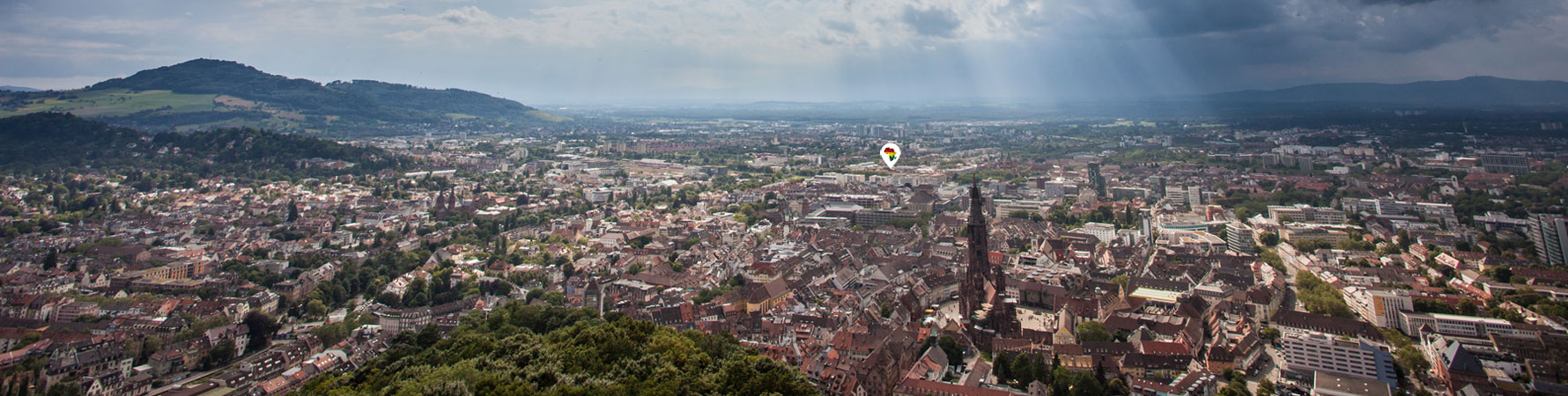 African Information Movement